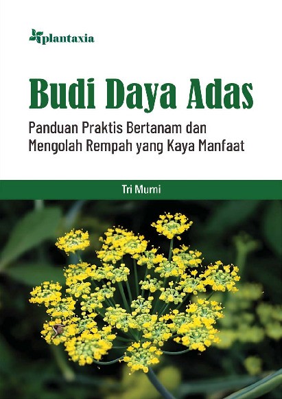 Budi Daya Adas; Panduan Praktis Bertanam dan Mengolah Rempah yang Kaya Manfaat